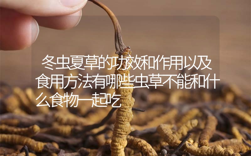 冬蟲夏草的作用和作用以及食用方法有哪些？蟲草不能和什么食物一起吃？