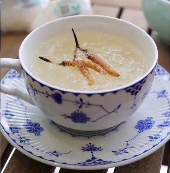 養(yǎng)生小竅門：冬蟲夏草燉什么好喝？