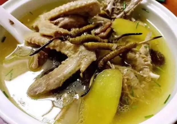 冬蟲(chóng)夏草和哪些食材可以一起煲湯？