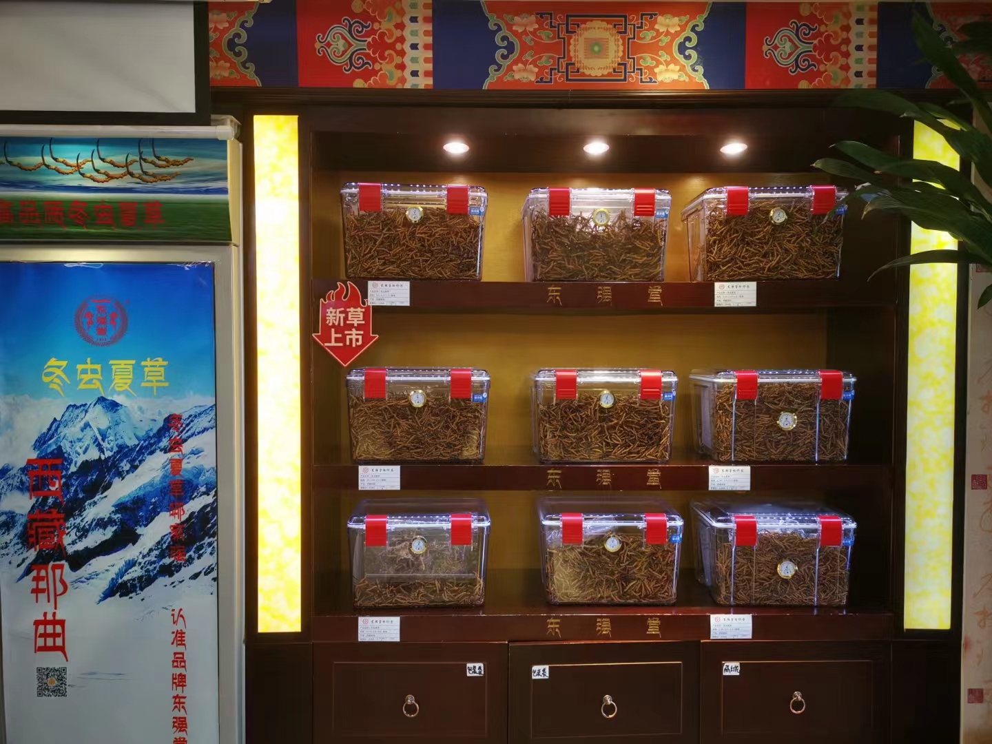 冬蟲夏草目前有哪些品牌