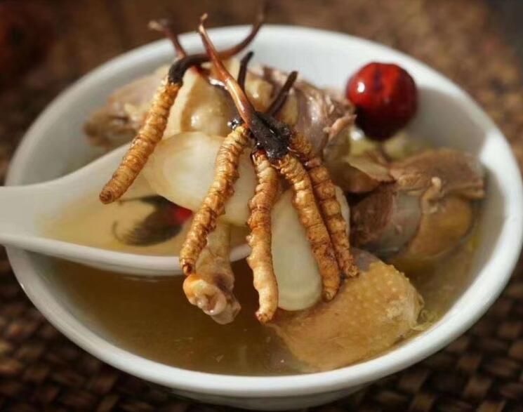 冬蟲夏草可以飯后吃嗎？