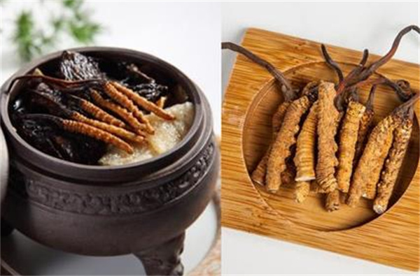冬蟲夏草和浮魚搭配怎么吃？