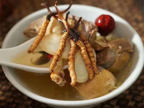 冬蟲(chóng)夏草能止咳嗎？冬蟲(chóng)夏草的某些成分可以減少痰液分泌