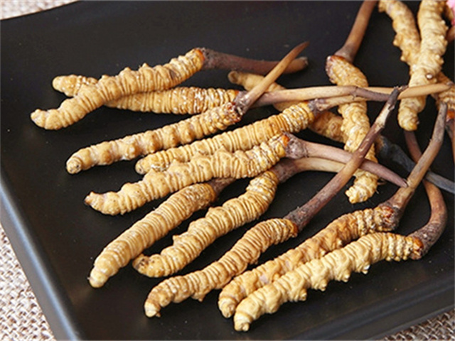 吃冬蟲(chóng)夏草能預(yù)防腦梗嗎？冬蟲(chóng)夏草中的某些成分能夠改善血液循環(huán)