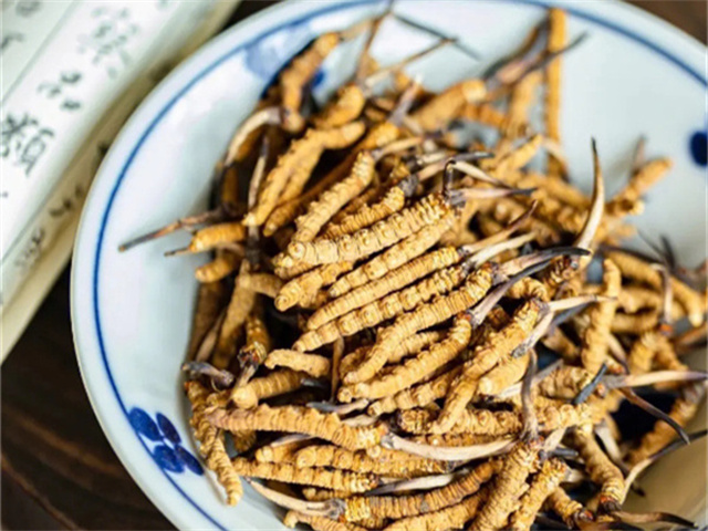 泰國(guó)有冬蟲夏草嗎？泰國(guó)冬蟲夏草的特點(diǎn)
