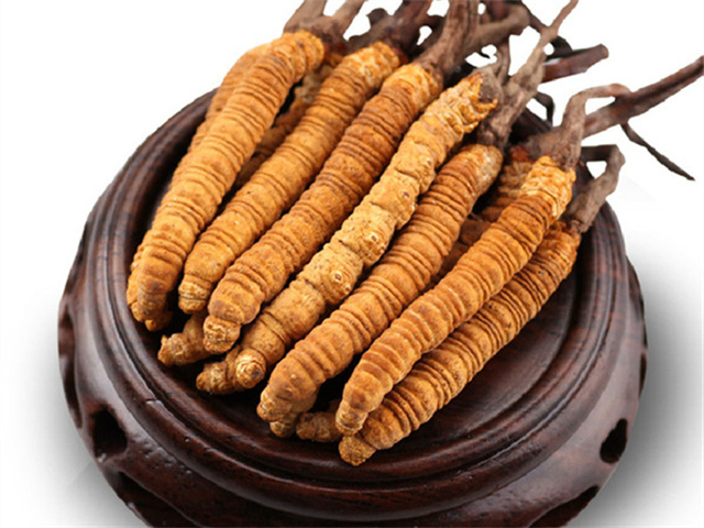 手術(shù)后能吃冬蟲夏草嗎？手術(shù)后吃冬蟲夏草的3個(gè)益處
