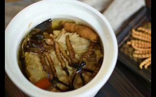 冬蟲夏草怎么食用？解鎖滋補養(yǎng)生的正確打開方式