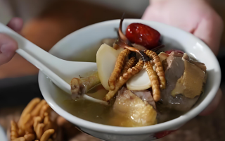 冬蟲夏草搭配有道，滋養(yǎng)肺部效果妙