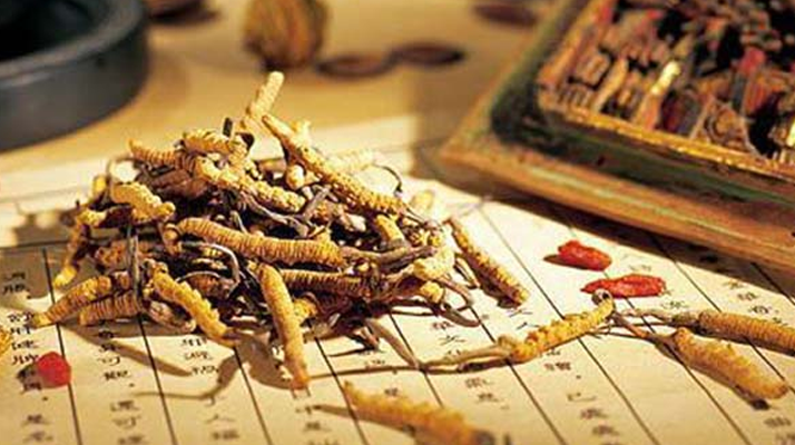 同仁堂健康冬蟲夏草：傳承品質，饋贈健康