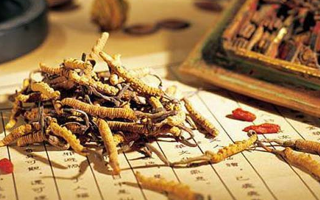 同仁堂健康冬蟲夏草：傳承品質(zhì)，饋贈(zèng)健康