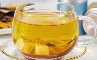 新鮮冬蟲(chóng)夏草能泡茶嗎？一文讀懂養(yǎng)生新方式