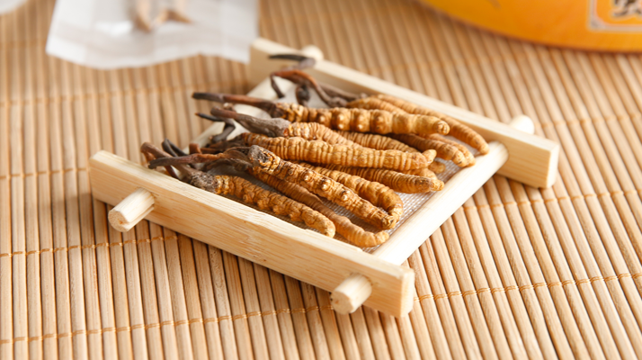 冬蟲夏草一般多少錢一斤？價(jià)格背后的價(jià)值解析