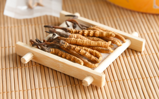 冬蟲夏草一般多少錢一斤？價(jià)格背后的價(jià)值解析