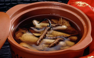 糖尿病可服用冬蟲(chóng)夏草嗎？科學(xué)解析其調(diào)理價(jià)值與注意事項(xiàng)