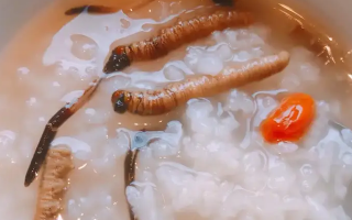 冬蟲(chóng)夏草適合哪些人群？精準(zhǔn)匹配與禁忌提醒
