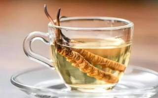 十根冬蟲夏草泡多少酒？科學(xué)配比與實(shí)操指南