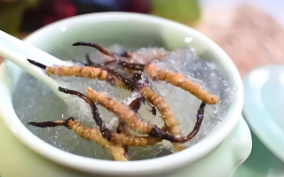 十根冬蟲夏草能泡幾斤酒？泡酒比例與細節(jié)指南