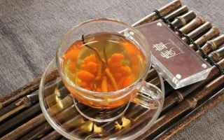 秋季進補別瞎忙！4 道冬蟲夏草配方，簡單又管用