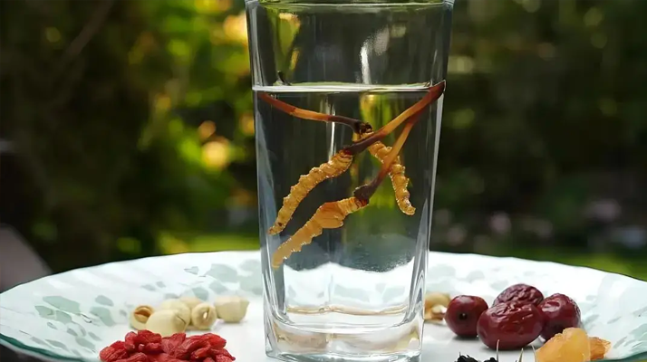 人參配蟲草泡酒，泡多久才好喝 