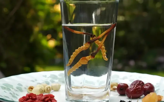 人參配蟲草泡酒，泡多久才好喝？咱跟你說實(shí)在的